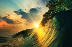 portfolio_featured_image10