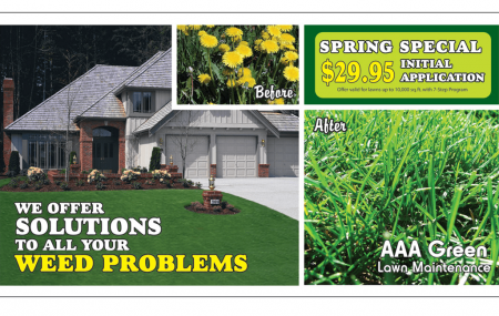 Direct mail and postcard marketing is the best way to get a guaranteed moment to introduce your lawn care business to potential customers.