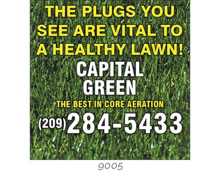 Custom Lawn