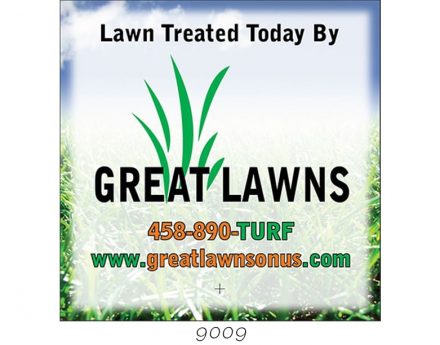 Custom Lawn