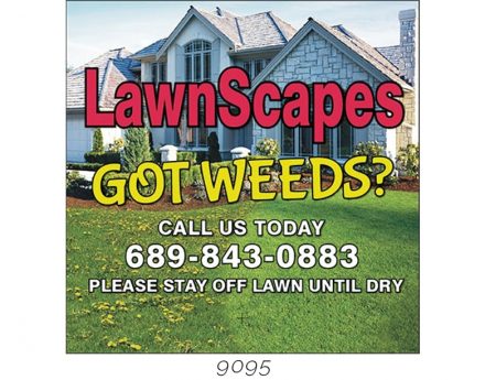 Custom Lawn