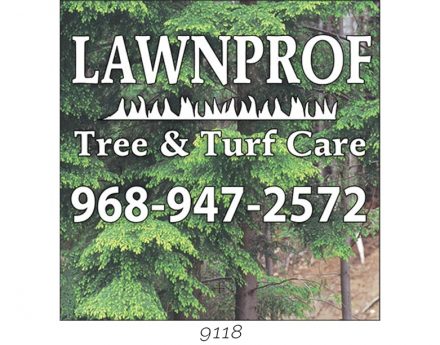 Custom Lawn