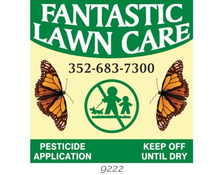 Custom Lawn