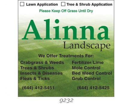 Custom Lawn