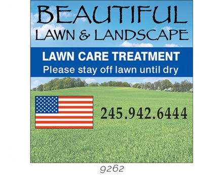 Custom Lawn