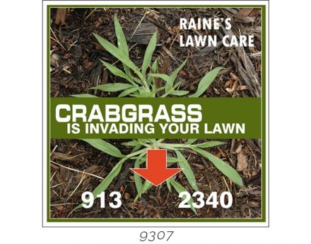 Custom Lawn