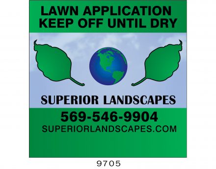 Custom Lawn