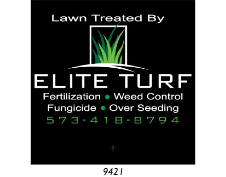 Custom Lawn