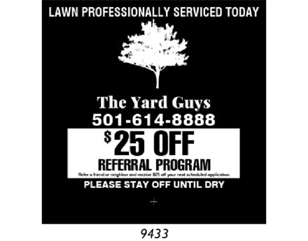 Custom Lawn