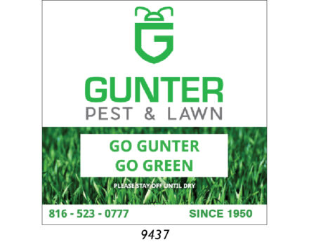 Custom Lawn