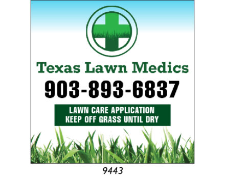 Custom Lawn