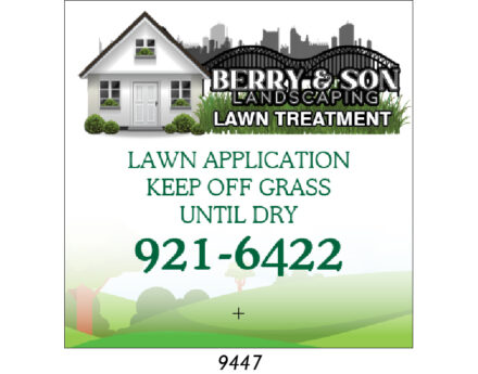 Custom Lawn