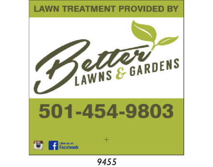 Custom Lawn