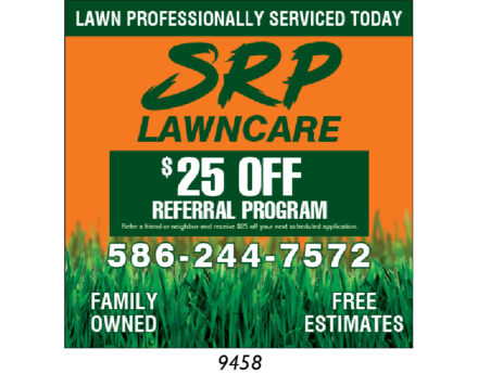 Custom Lawn