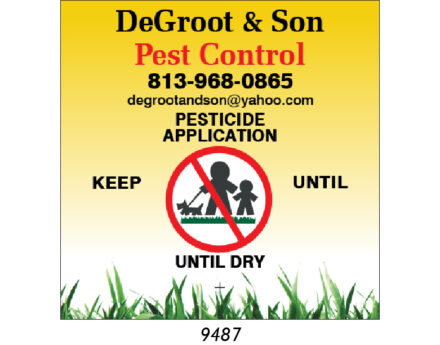 Custom Lawn